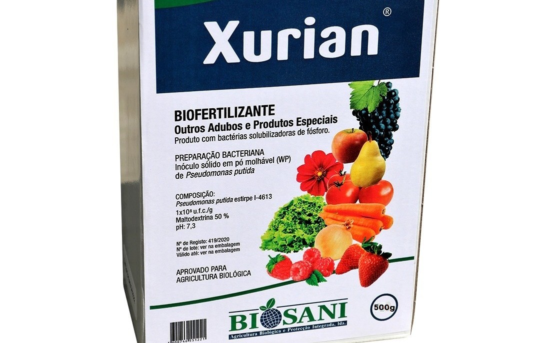What biofertilizers are and how they work